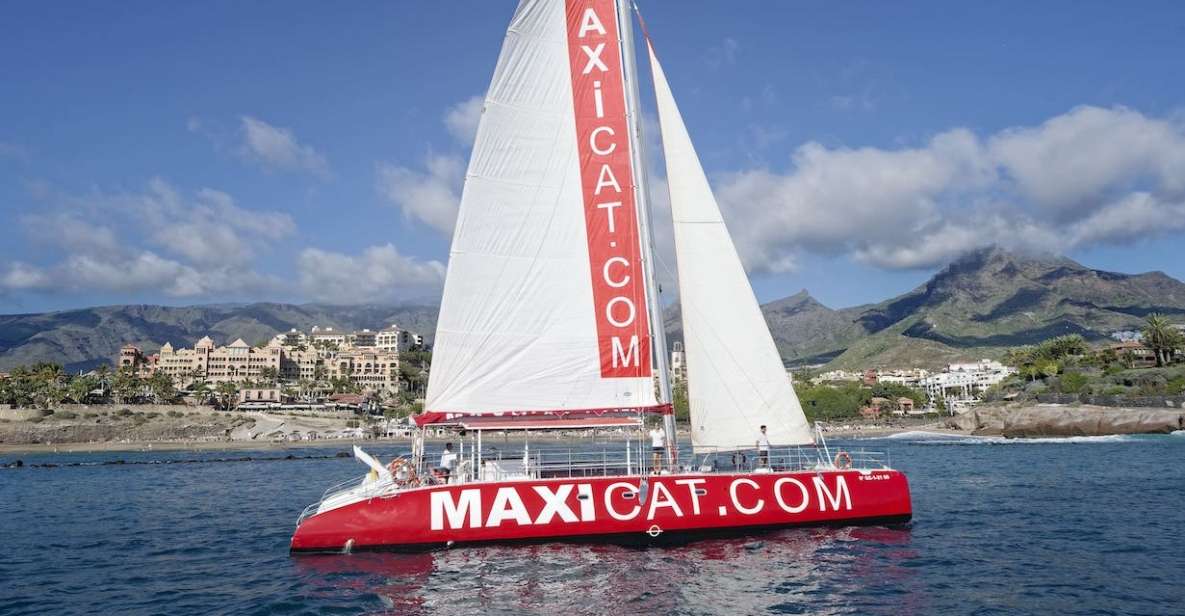 Costa Adeje: Whale and Dolphin Cruise with Food and Pickup - How Costa Adeje’s Maxicat Cruise Fits a 3-Hour Day