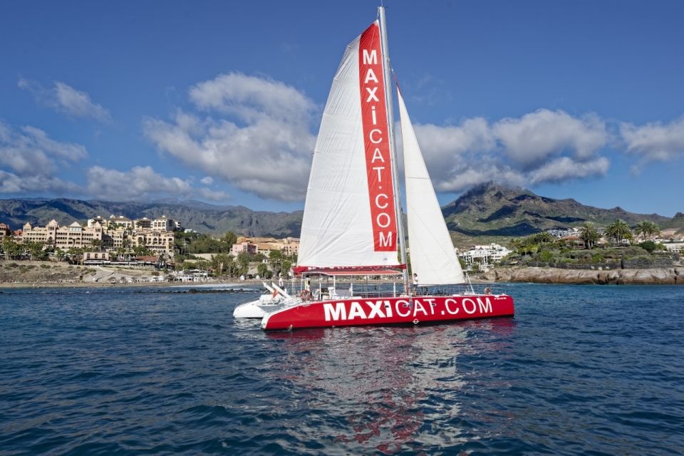 Costa Adeje: Whale and Dolphin Cruise with Food and Pickup - What to Pack (and What to Skip) for a Smooth Trip