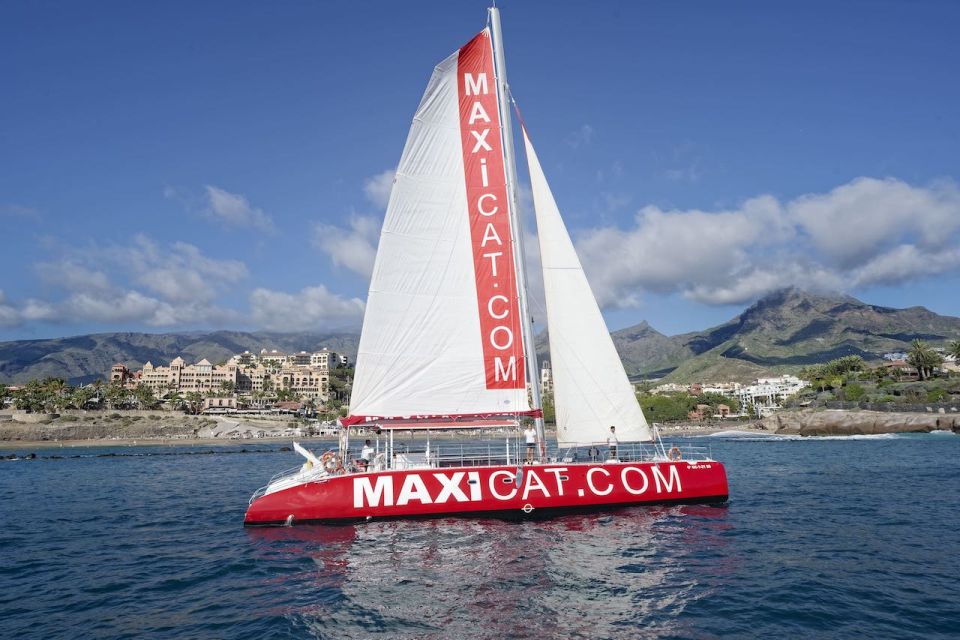 Costa Adeje: Whale and Dolphin Cruise with Food and Pickup - Getting to Puerto Colon: Meeting Point and Pickup Reality