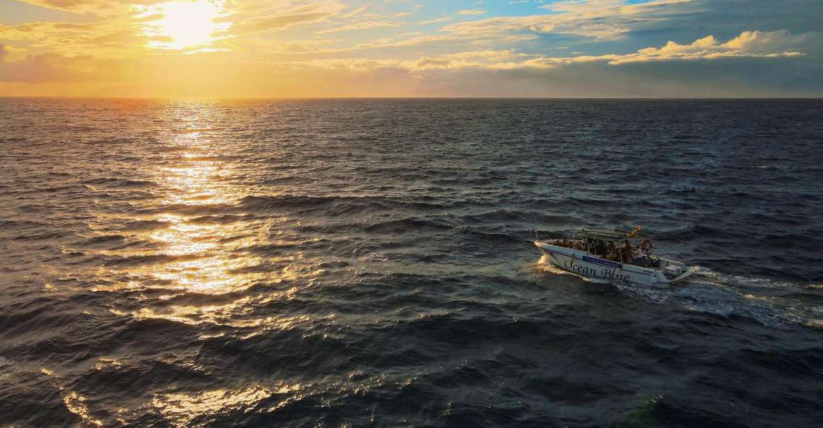 Costa Adeje: Whale and Dolphin-Watching Boat Excursion - Puerto Colón: The Guided Wildlife Scanning Portion