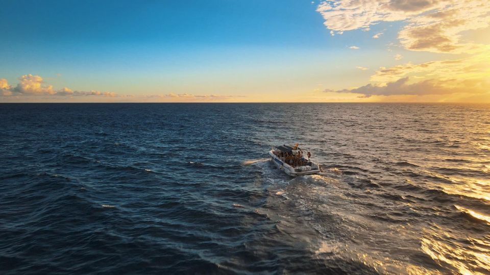 Costa Adeje: Whale and Dolphin-Watching Boat Excursion - Meeting at Lina Yacht and Getting Set for Open-Ocean Viewing