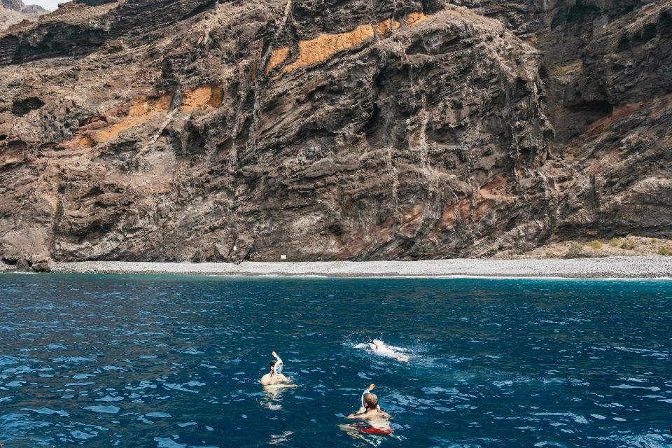 Costa Adeje: Whale & Dolphin Eco-Cruise with Snacks & Drinks - Key Takeaways Before You Go