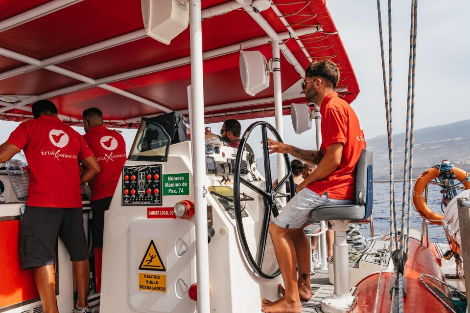 Costa Adeje: Whale & Dolphin Eco-Cruise with Snacks & Drinks - Price and Value: Is $52 a Good Deal?