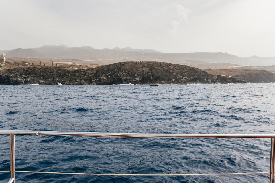 Costa Adeje: Whale & Dolphin Eco-Cruise with Snacks & Drinks - Food, Drinks, and the Swim Stop: The Part That Turns a Cruise into a Break