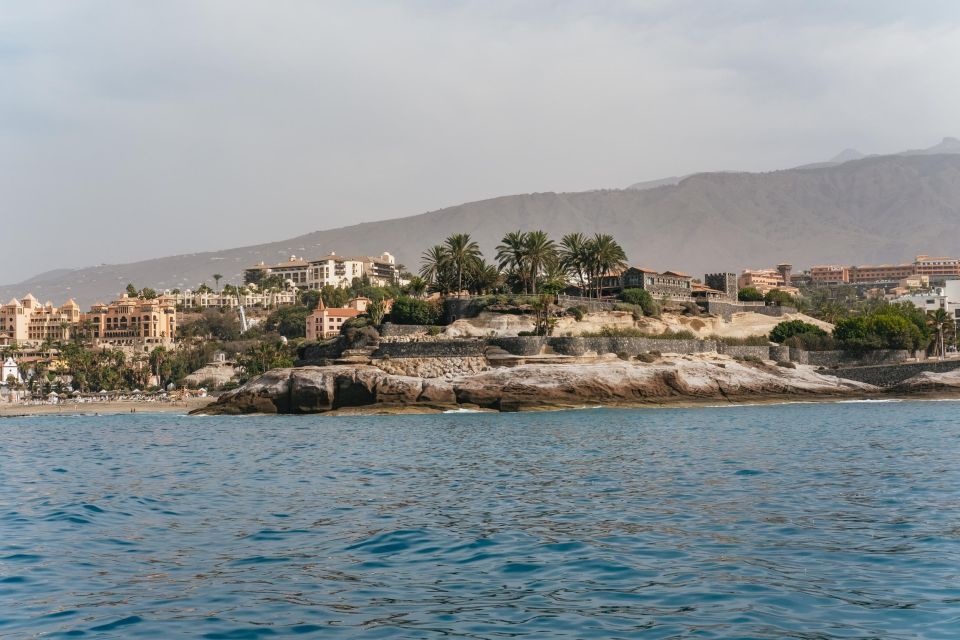 Costa Adeje: Whale & Dolphin Eco-Cruise with Snacks & Drinks - Views Off the Water: Teide, Playa de las Américas, Los Cristianos
