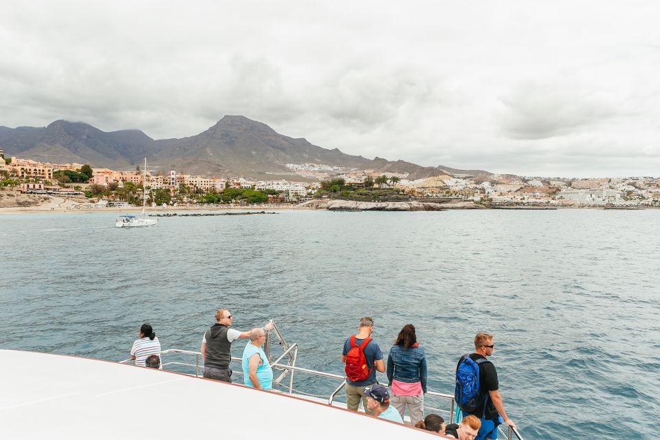 Costa Adeje: Whale & Dolphin Submarine Vision Mini Cruise - Key Things to Know Before You Go