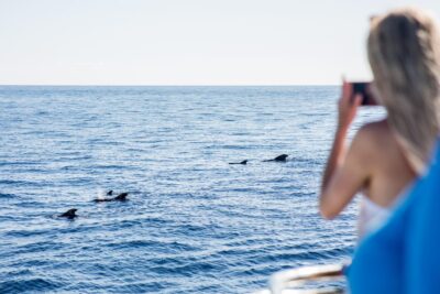 Costa Adeje: Whale & Dolphin Submarine Vision Mini Cruise - Royal Delfin at Dock 12: Your 2-Hour Timeline in Real Life