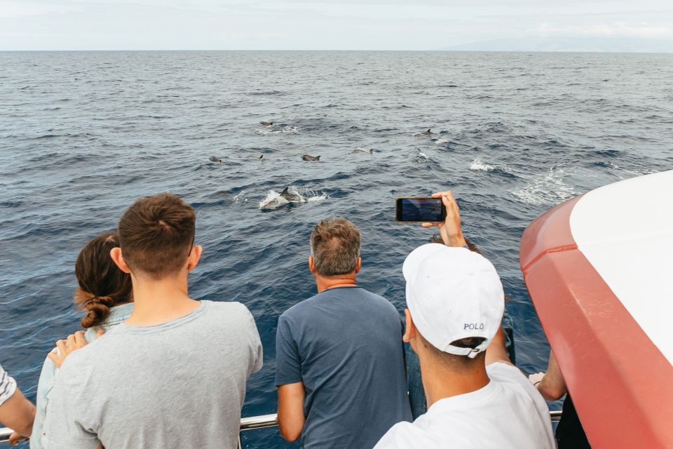 Costa Adeje: Whale & Dolphin Submarine Vision Mini Cruise - The Viewpoint Moment and the Photo Stop: How to Make the Time Count