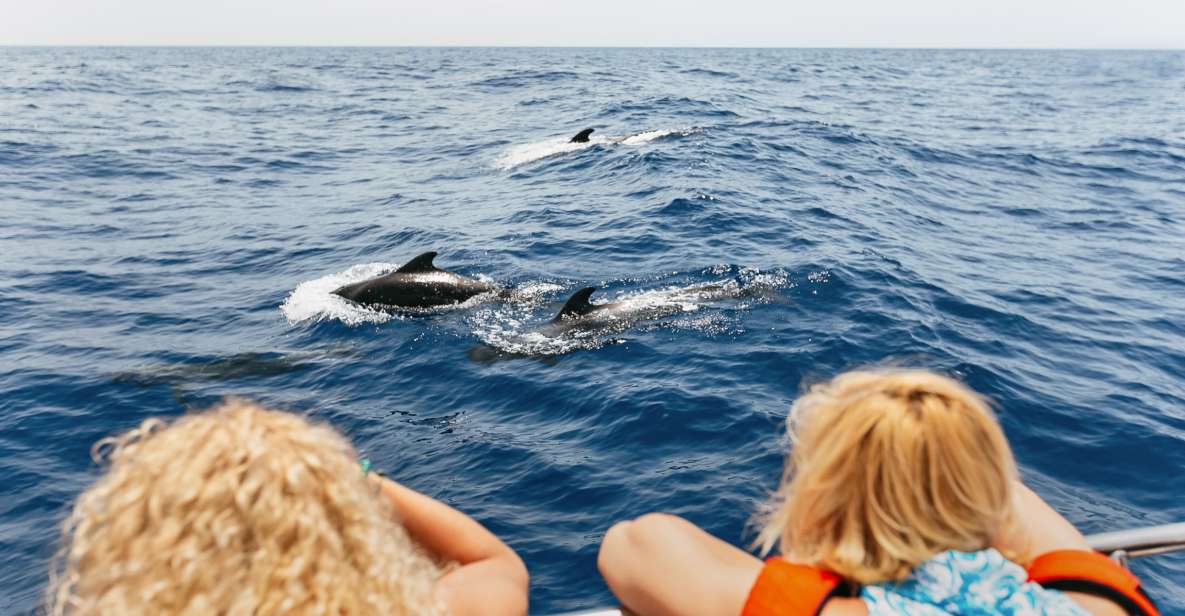 Costa Adeje: Whale Watching Catamaran Tour with Drinks - Key highlights you’ll actually feel