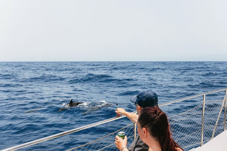 Costa Adeje: Whale Watching Catamaran Tour with Drinks - Why this whale-watching route works from Puerto Colón