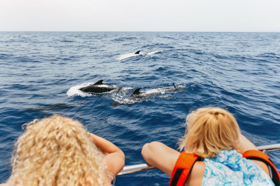 Costa Adeje: Whale Watching Catamaran Tour with Drinks - How the crew finds whales (and why they stop fast)