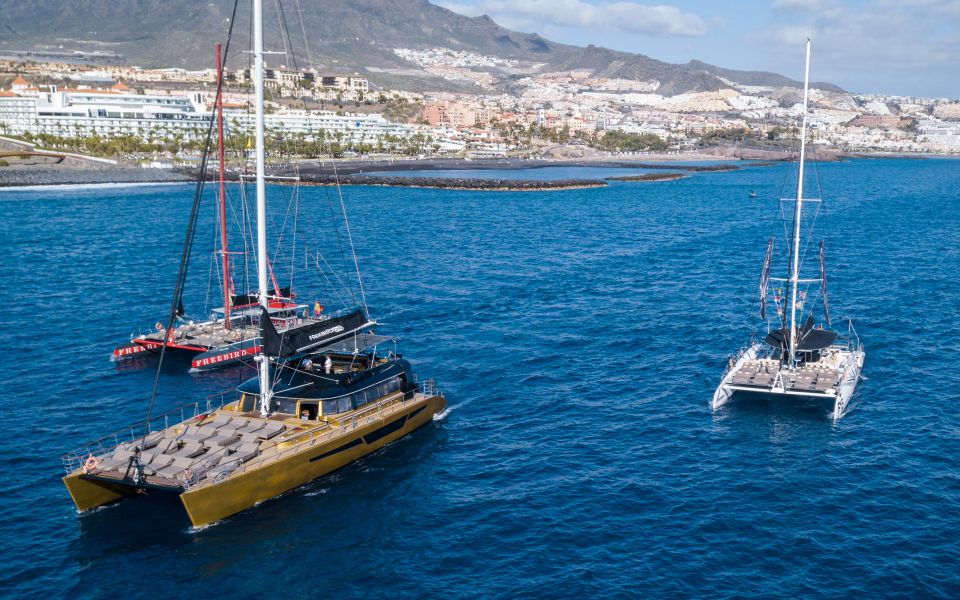Costa Adeje: Whale Watching Cruise - Key things to know before you board