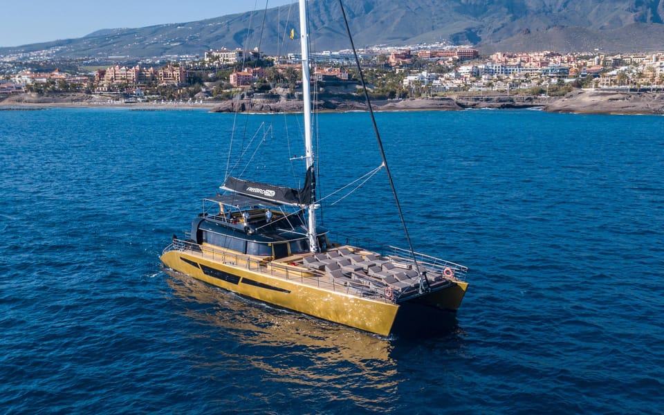 Costa Adeje: Whale Watching Cruise - Costa Adeje whale watching: why a 3-hour catamaran works