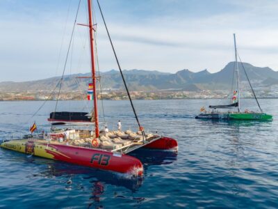 Costa Adeje: Whale Watching Cruise - From Puerto Colón docks to the Atlantic: what to expect at the start