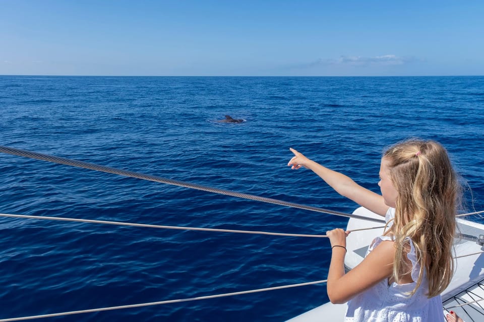 Costa Adeje: Whale Watching Cruise - Photo moments, snack service, and what the onboard extras really mean