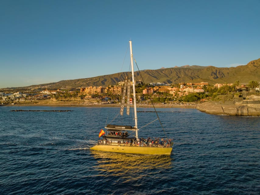 Costa Adeje: Whale Watching Cruise - FAQ