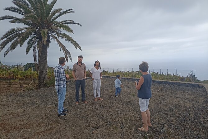 Custom Private Tenerife Full Island VIP Tour - photos included - Stop 6: Optional Canarian lunch in Candelaria (what to expect)
