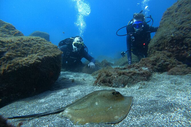 Discover Scuba Diving in Tenerife - What’s included (and why it’s good value)
