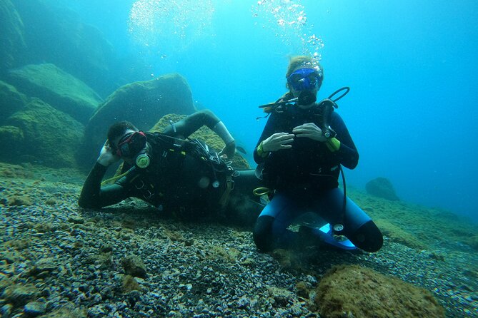 Discover Scuba Diving in Tenerife - Private experience for your group: small size changes everything