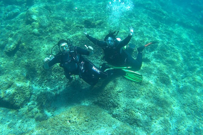Discover Scuba Diving in Tenerife - Timing and the “no-fly” rule after scuba