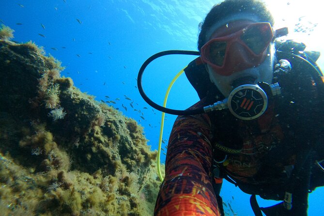 Discover Scuba Diving in Tenerife - Weather rules: what happens if conditions aren’t right