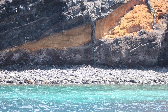 Dolphin and Whale Sailing Tour in Los Gigantes - The 3-Hour Flow: What Happens Between Cliffs