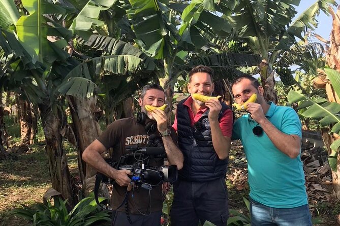 Eco banana farm Tour - Where this eco banana farm tour happens in Tenerife