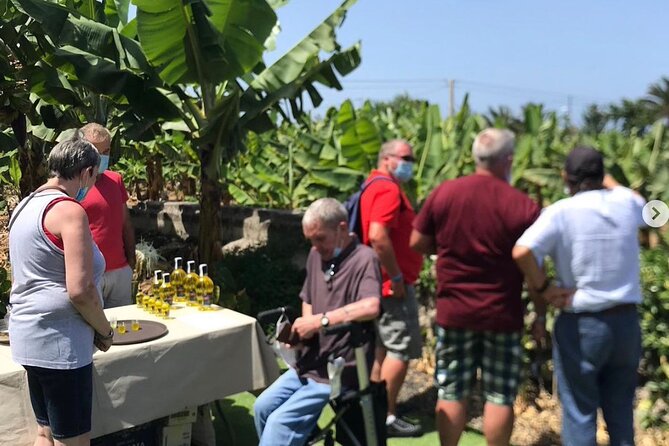 Eco banana farm Tour - Price check: is $24.20 good value for an hour in the finca?