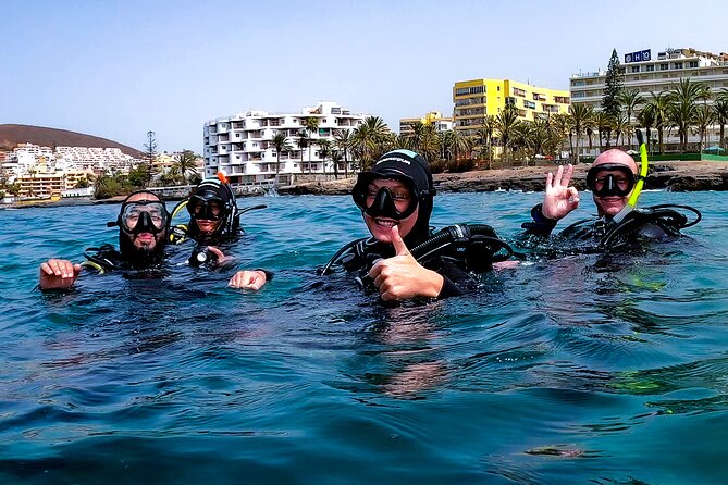 First Dive Experience in Tenerife - Marine Life You Can Expect: Rays, Sea Turtles, and Volcanic Reef Stops