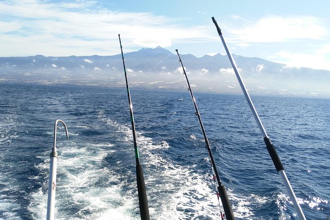 Fishing trip, Tenerife Sea Passion - Price and value: why $96.54 may make sense