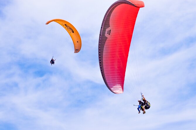 FlyTenerife Paragliding Flight - Key things to know before you book