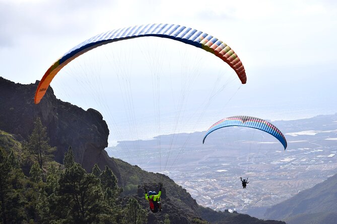 FlyTenerife Paragliding Flight - Price Check: Is $132.75 Good Value?