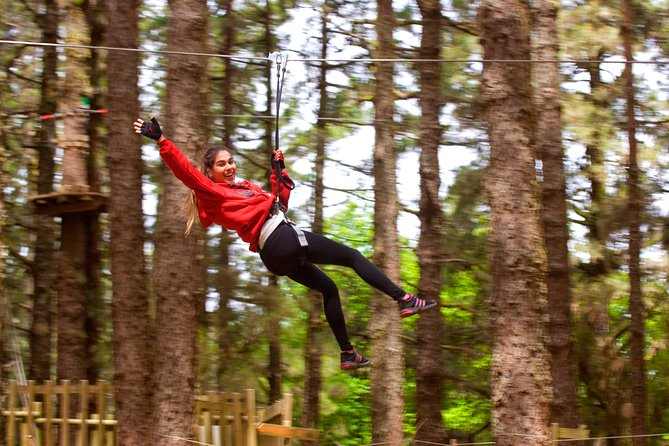 Forestal Park Tenerife Entrance Ticket - Key highlights you’ll feel fast