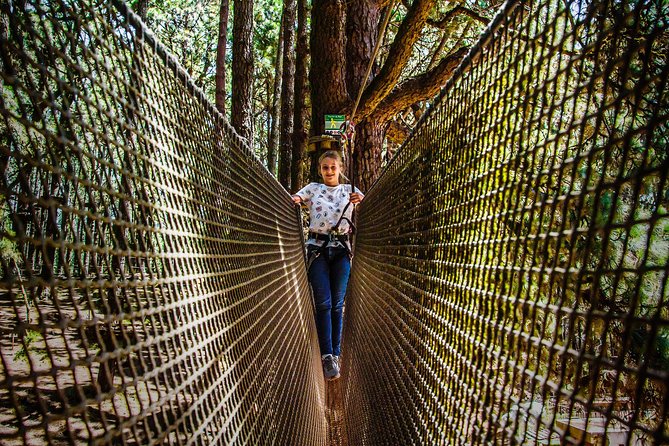 Forestal Park Tenerife Entrance Ticket - Circuit choice depends on height and weight