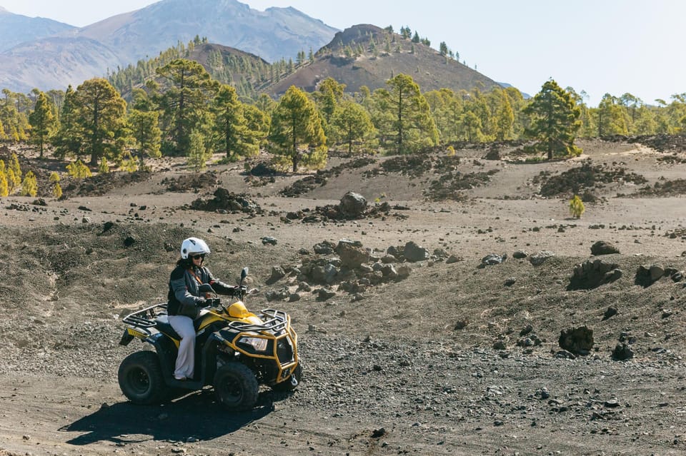 From Costa Adeje: Mount Teide Forest Off-Road Quad Bike Tour - Key points