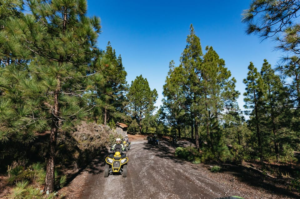 From Costa Adeje: Mount Teide Forest Off-Road Quad Bike Tour - Who can drive, and who should skip this quad tour
