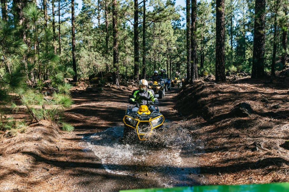 From Costa Adeje: Mount Teide Forest Off-Road Quad Bike Tour - Inside Teide National Park forests: 3 hours of off-road riding