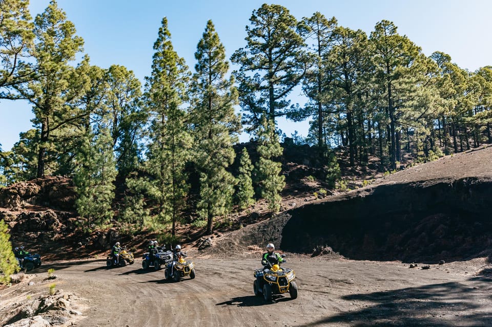 From Costa Adeje: Mount Teide Forest Off-Road Quad Bike Tour - Guides like Rico, Daniel, and Lee: stories that make the forest click