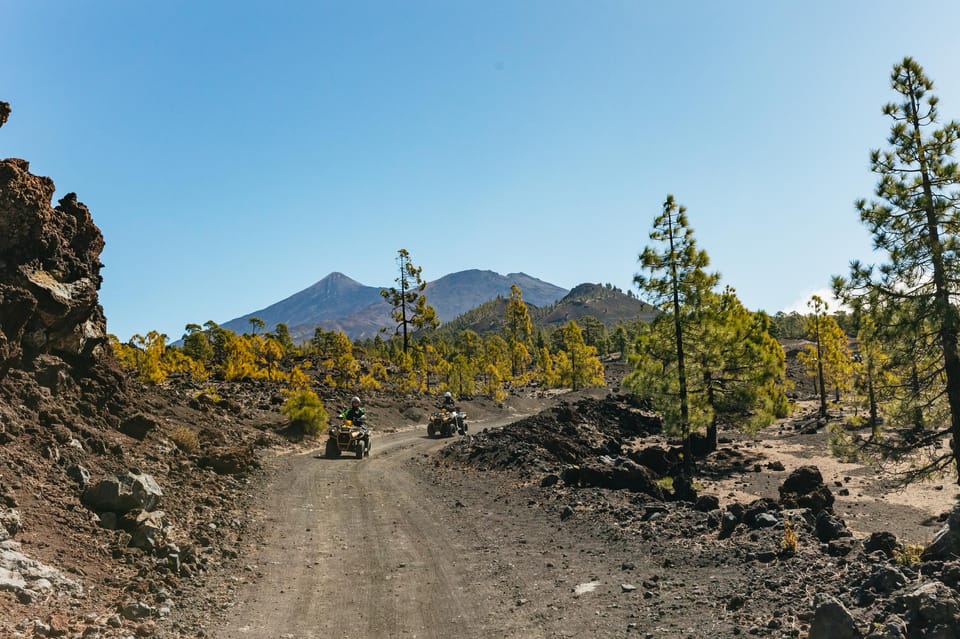 From Costa Adeje: Mount Teide Forest Off-Road Quad Bike Tour - Quad training, helmets, jackets, and the escorted start