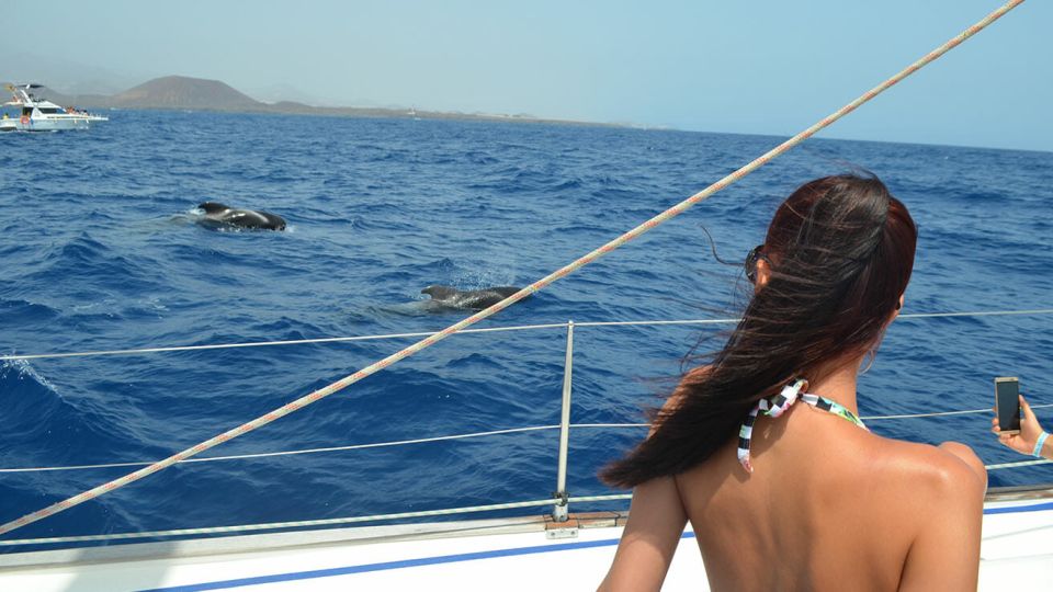 From Los Gigantes: Whale Watching Sailboat Cruise - Who This Trip Suits Best (and Who Might Want a Backup Plan)