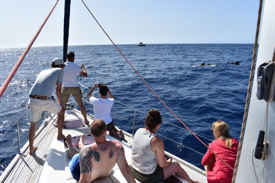 From Los Gigantes: Whale Watching Sailboat Cruise - Sailing Time and Cliff Views: Where the Teide Shows Up