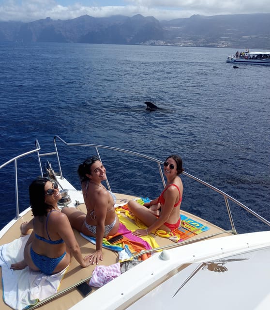 From Playa San Juan: Whale Watching, Gigantes, and Masca Bay - Photos, Comfort, and Seasickness Basics