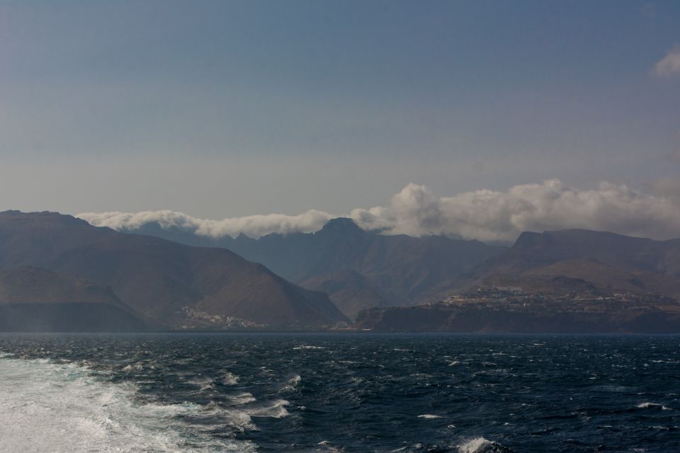 From Puerto de La Cruz: Full-Day Vip Tour to Gomera - Quick hits before you go