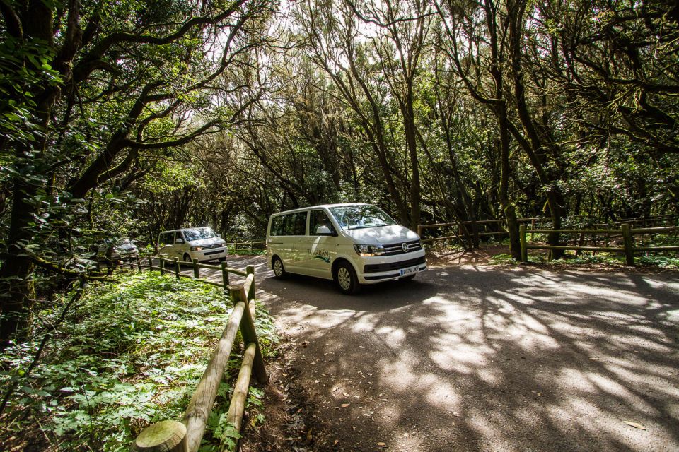 From Puerto de La Cruz: Full-Day Vip Tour to Gomera - What to pack for a smooth Gomera day