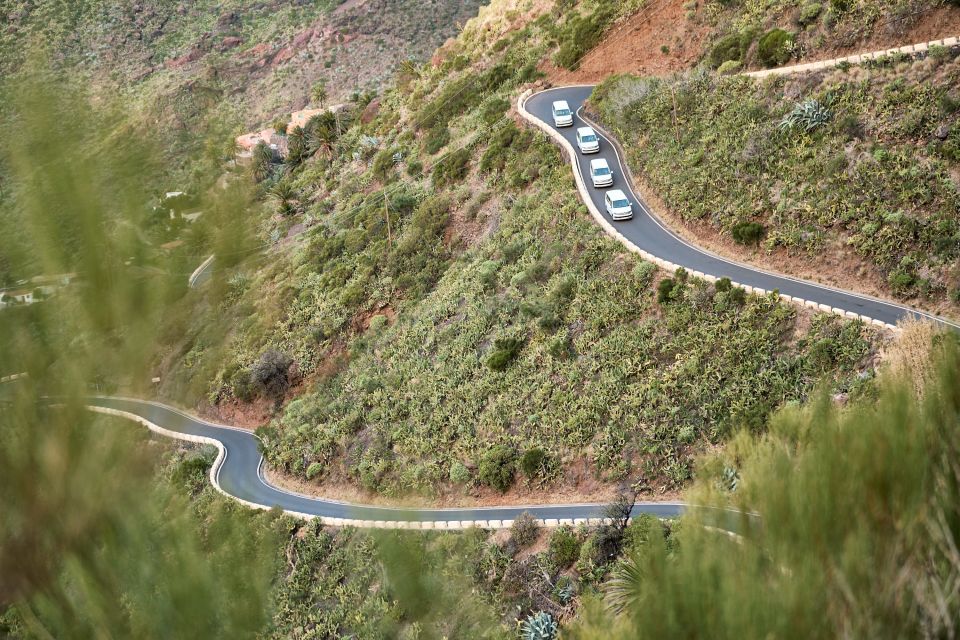 From Puerto de La Cruz: Full-Day Vip Tour to Gomera - Should you book the Gomera VIP 4WD tour?