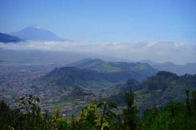 From Puerto de La Cruz: VIP Tour Around Anaga and La Laguna - Roques, dikes, cliff faces, and that famous cloud blanket