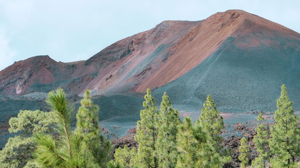From Santa Cruz: Teide Volcano, Icod, & Garachico Tour - Price and value: what $85 covers, and how to make it stretch