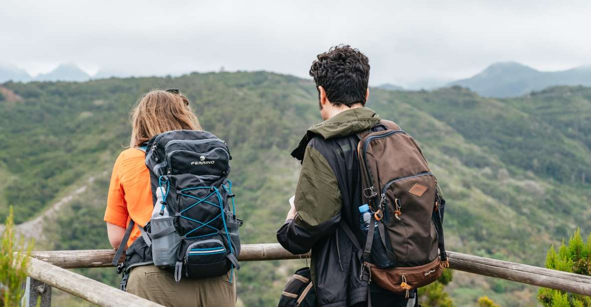 From South Tenerife: La Gomera Island Day Trip with Lunch - Key Highlights at a Glance