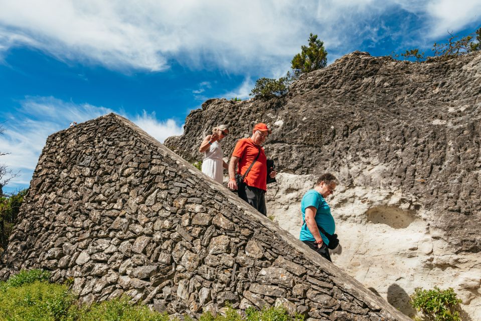 From South Tenerife: La Gomera Island Day Trip with Lunch - Quick Tips That Make the Day Easier (Not Longer)