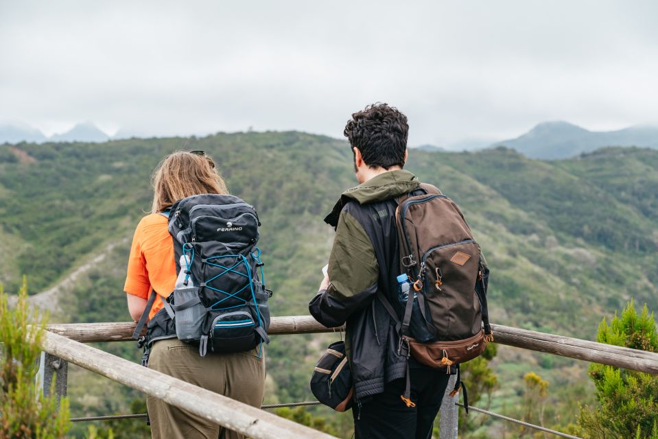 From South Tenerife: La Gomera Island Day Trip with Lunch - Why This La Gomera Day Feels Worth the Switch from Tenerife